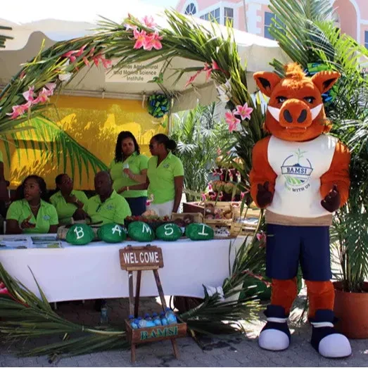 Coconut 360 Festival - Tribute to a Remarkable Gift of Nature