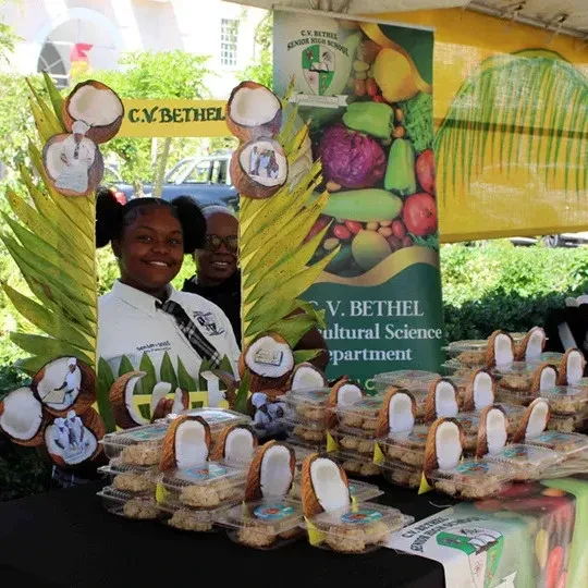 Coconut 360 Festival - Tribute to a Remarkable Gift of Nature