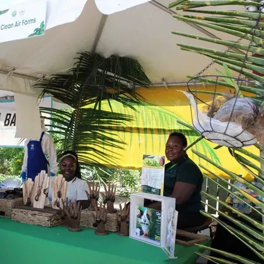 Coconut 360 Festival - Tribute to a Remarkable Gift of Nature