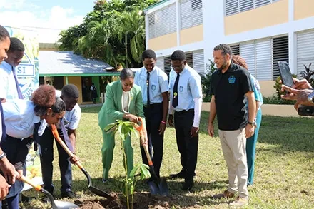 BAMSI Begins Tree Plantings on the Campuses of Public Schools As Part of National Initiative