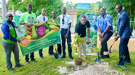 BAMSI Begins Tree Plantings on the Campuses of Public Schools As Part of National Initiative