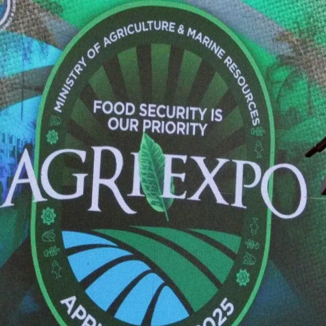 (BIS Photos/Patrice Johnson) (BIS Photos/Patrice Johnson)