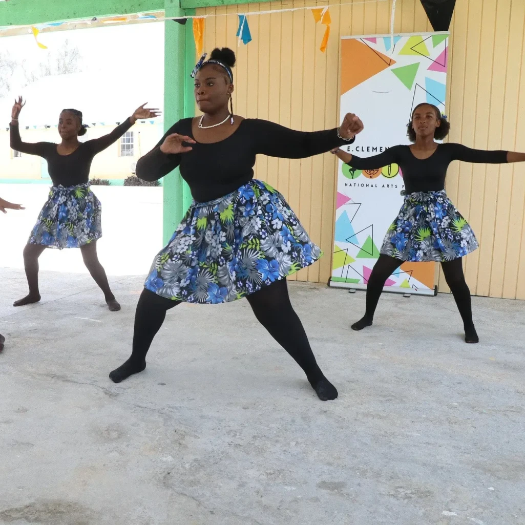 (BIS Photos/Eric Rose.  Drone Photography Courtesy of Eric Rose).