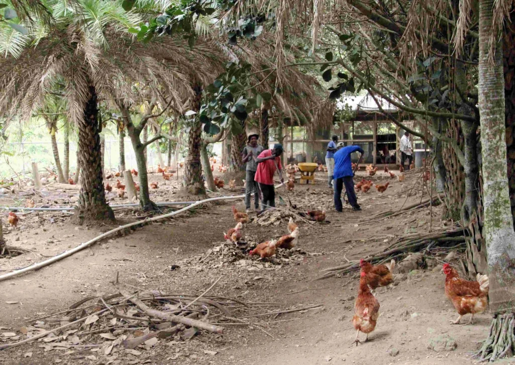 Agriculture minister takes the press on a tour