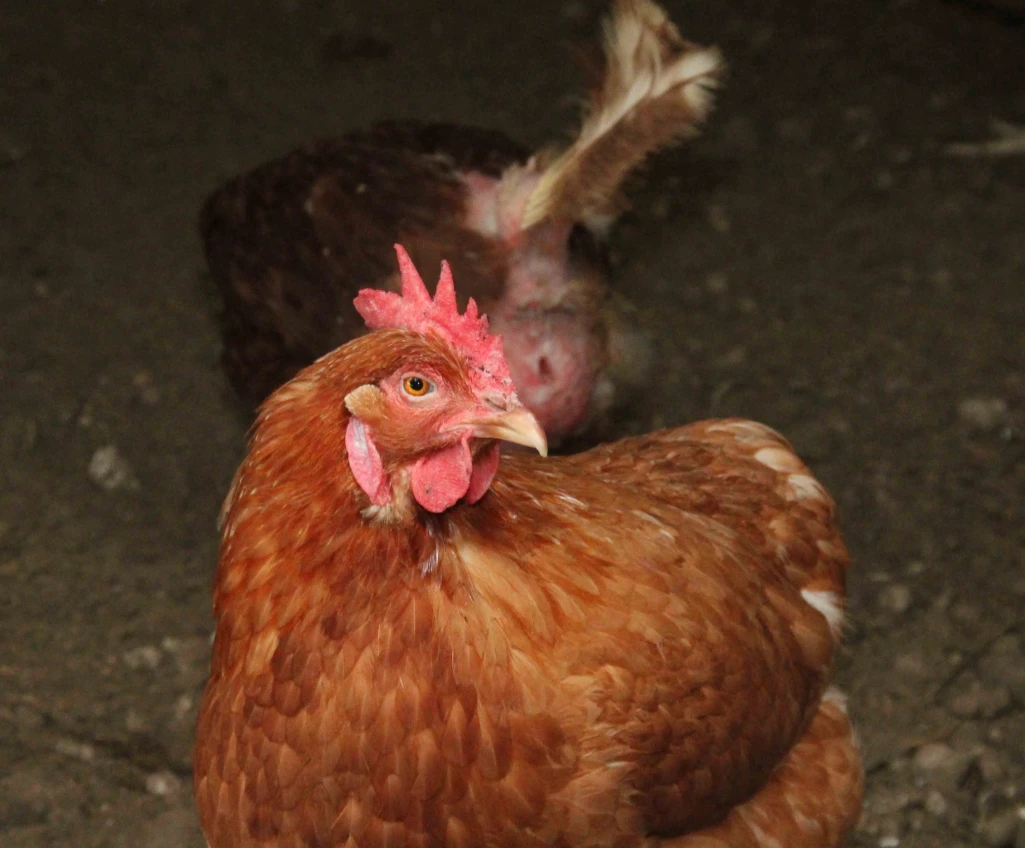 Agriculture minister takes the press on a tour