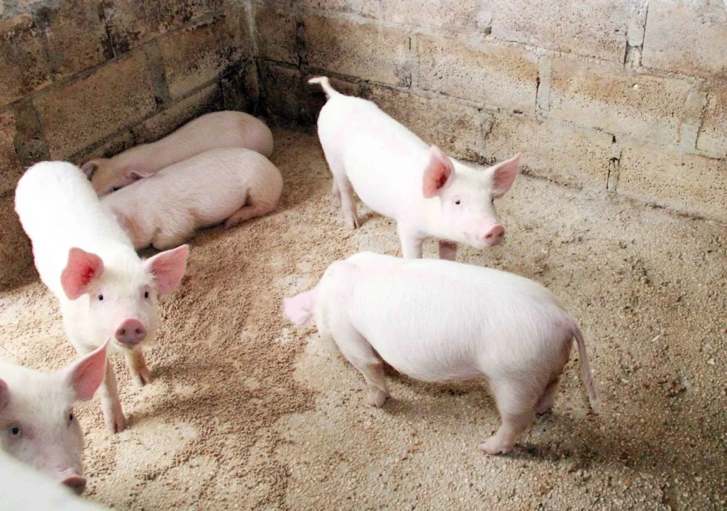 Agriculture minister takes the press on a tour