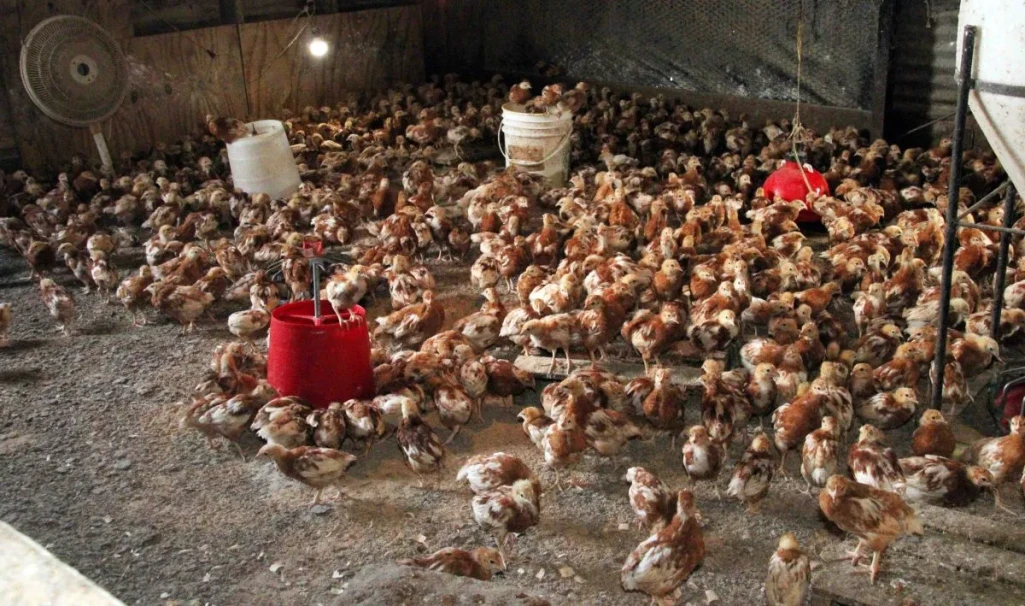 Agriculture minister takes the press on a tour