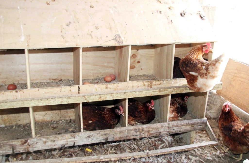 Agriculture minister takes the press on a tour