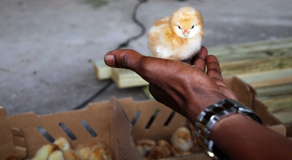 Agriculture minister takes the press on a tour