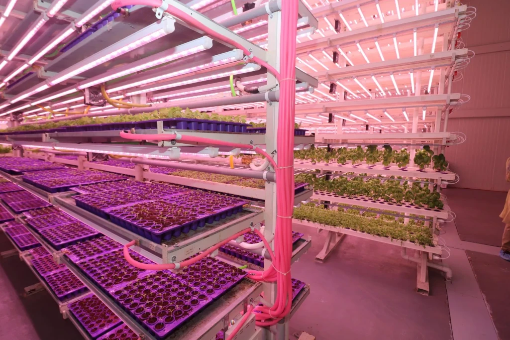 The Government Signs MoU that Marks a “Pivotal Moment” in the Nation’s Journey Towards Food Security The Government Signs MoU that Marks a “Pivotal Moment” in the Nation’s Journey Towards Food Security