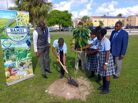BAMSI Begins Tree Plantings on the Campuses of Public Schools As Part of National Initiative