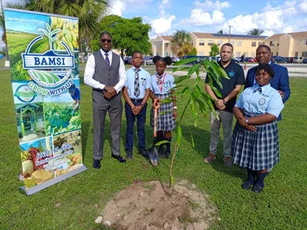 BAMSI Begins Tree Plantings on the Campuses of Public Schools As Part of National Initiative