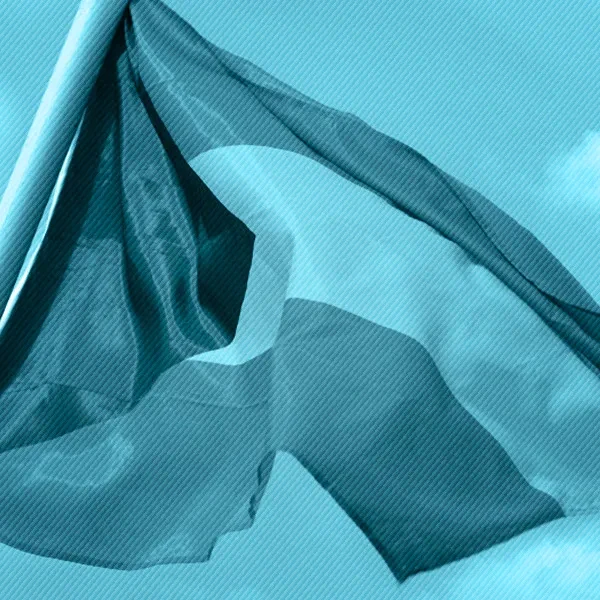 State-recognized Funeral Service For The Late Dr. Corolyn Hanna