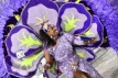 2024 Boxing Day Junkanoo Parade on Bay Street - PHOTOS 3