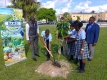 BAMSI Begins Tree Plantings on the Campuses of Public Schools As Part of National Initiative